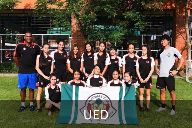 UED公司简介
